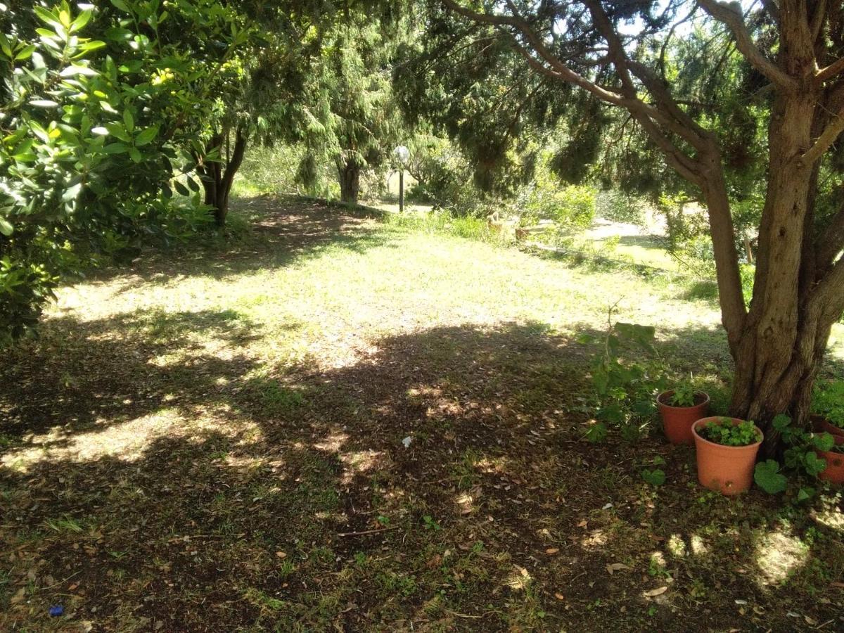 B&B Daillu Ольбия Экстерьер фото
